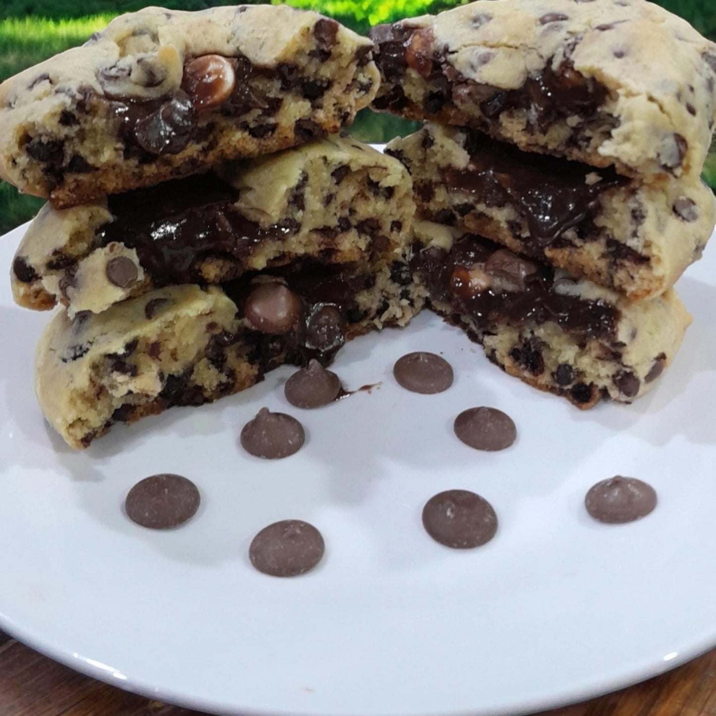 Chocolate Chip Fudgy Cookie